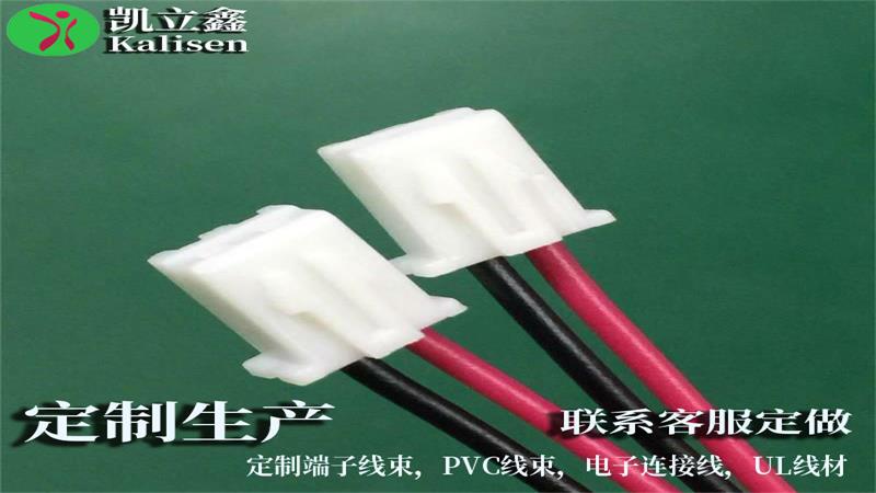 2P鐢墊睜綰?.jpg